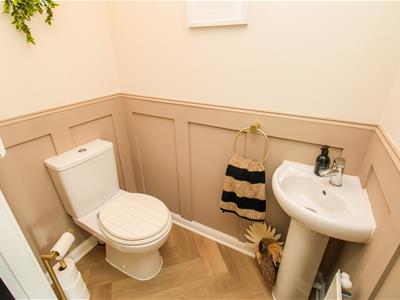 Picture 8